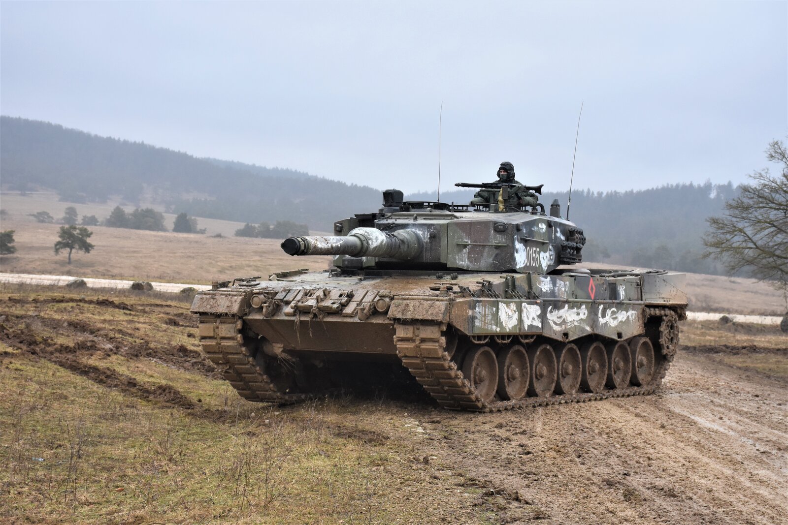04-leopard2a4-camo.jpg